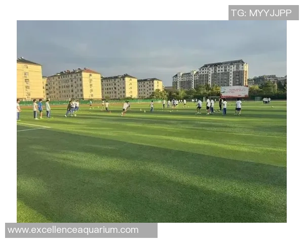 Summer球星足球全新赛季激情开战展现绿茵风采点燃青春梦想