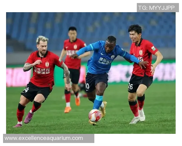 中国足球球星名字大全及其成就介绍：从历史到现代的顶尖球员解析