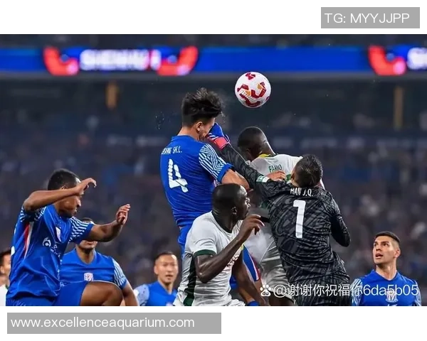 上海足球最具人气球星是谁 揭秘当下上海足球的代表人物