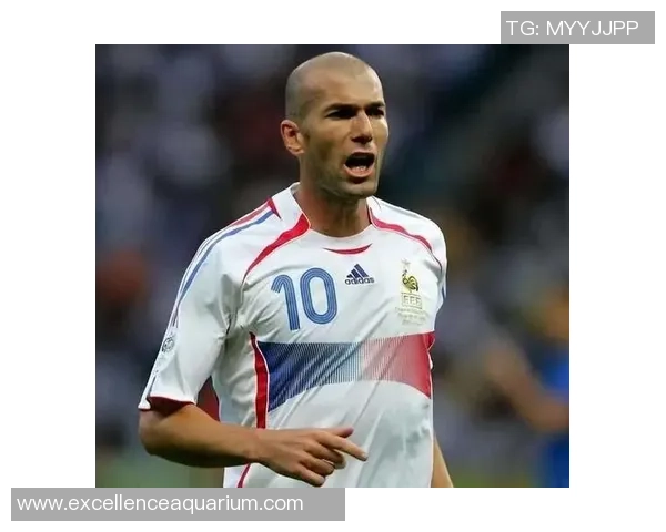 全球最强五大足球巨星盘点他们如何定义足球历史 全球最强五大足球巨星盘点他们如何定义足球历史