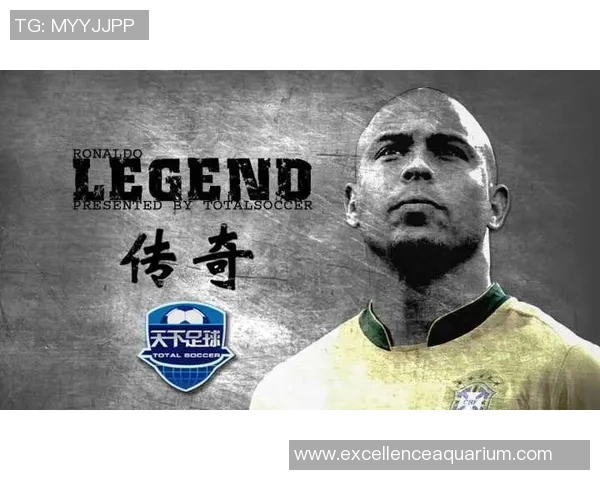 天下足球球星称号背后的传奇人物及其辉煌足坛历程揭秘 天下足球球星称号背后的传奇人物及其辉煌足坛历程揭秘