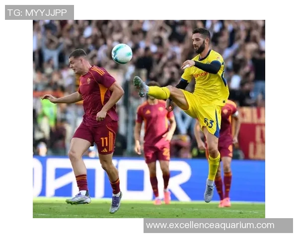 意大利足球甲级联赛球星风采:聚焦顶级球员的技术与魅力 意大利足球甲级联赛球星风采:聚焦顶级球员的技术与魅力