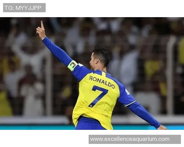 新生代足球新星崛起颜值与实力并存闪耀绿茵场