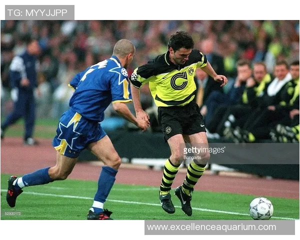 有哪些足球明星拥有专属签名足球鞋及其背后的品牌合作故事