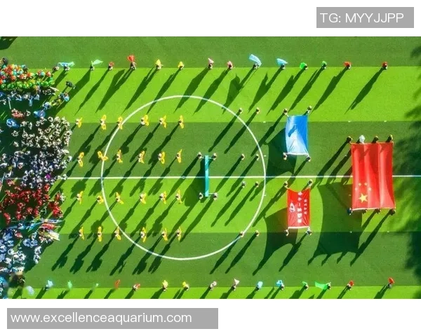 球星展现高超控球技巧足球垫球表演诠释运动之美与竞技精神