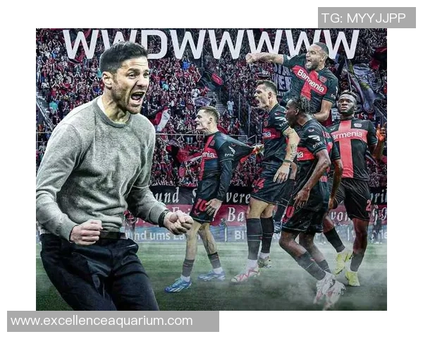 皮耶罗绿茵岁月经典回顾永恒传奇光辉时刻震撼心灵