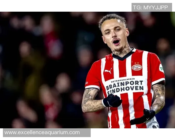 2023年法国足球球星表现综述及未来发展潜力分析 2023年法国足球球星表现综述及未来发展潜力分析