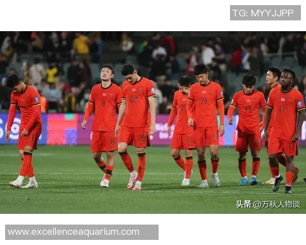 各大球星评价中国足球队员实力和潜力全面解读 各大球星评价中国足球队员实力和潜力全面解读