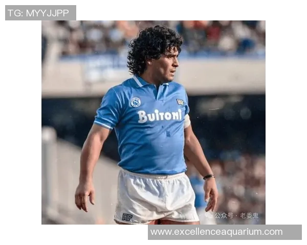 早年足球巨星传奇:从贝利到马拉多纳的辉煌岁月与无尽记忆 早年足球巨星传奇:从贝利到马拉多纳的辉煌岁月与无尽记忆