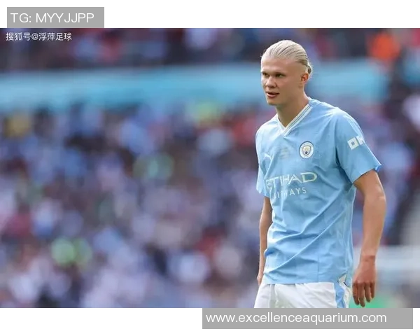 美黑球星的崛起与挑战 足球场上超越肤色的辉煌传奇 美黑球星的崛起与挑战 足球场上超越肤色的辉煌传奇