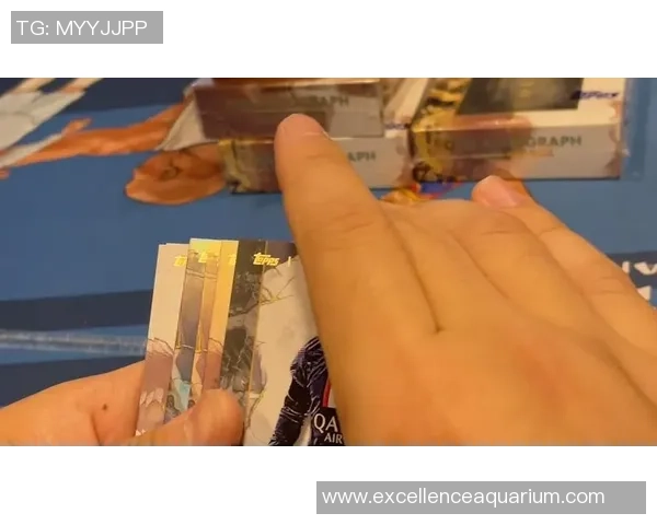 盗梦球星卡足球一盒原价多少揭示收藏价值与市场趋势 盗梦球星卡足球一盒原价多少揭示收藏价值与市场趋势