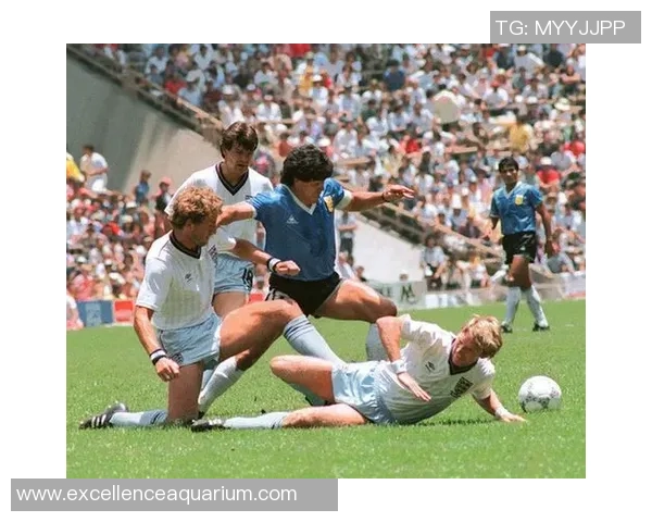 历史五十大足球巨星排名揭晓传奇球员一览尽显荣耀与成就