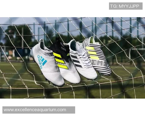 曼城足球明星卡片与独家纪念物料单销售全新上线