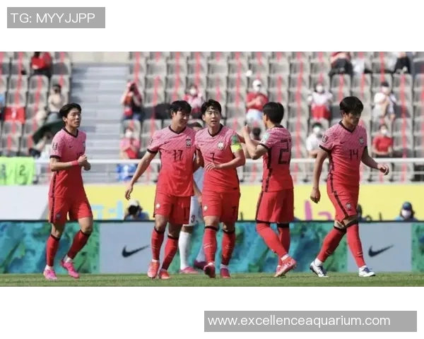 法国队男足球星阵容揭秘 世界杯冠军之路的核心力量