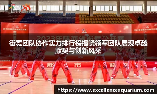 街舞团队协作实力排行榜揭晓领军团队展现卓越默契与创新风采