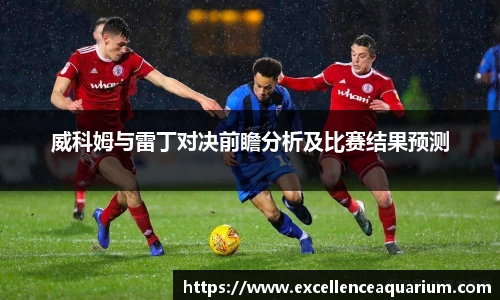 威科姆与雷丁对决前瞻分析及比赛结果预测
