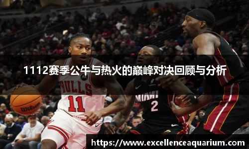 1112赛季公牛与热火的巅峰对决回顾与分析