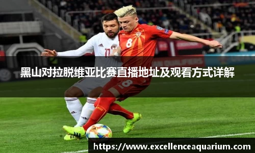 伟德体育国际