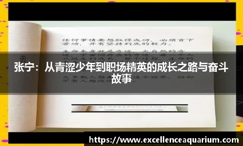 张宁：从青涩少年到职场精英的成长之路与奋斗故事