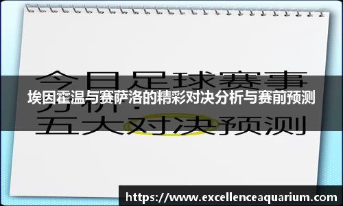 埃因霍温与赛萨洛的精彩对决分析与赛前预测
