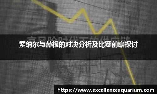 索纳尔与赫根的对决分析及比赛前瞻探讨