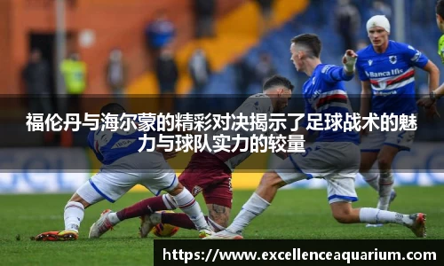 福伦丹与海尔蒙的精彩对决揭示了足球战术的魅力与球队实力的较量