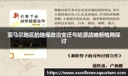 亚马尔地区的地缘政治变迁与能源战略新格局探讨