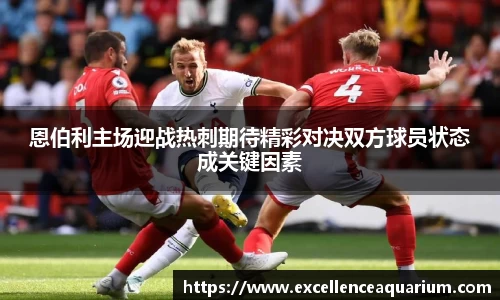 伟德体育国际