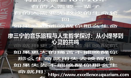 韦德体育官网