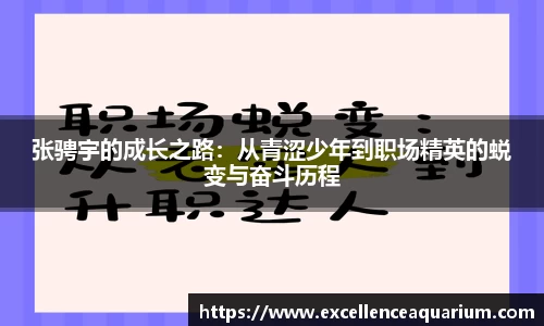 张骋宇的成长之路：从青涩少年到职场精英的蜕变与奋斗历程