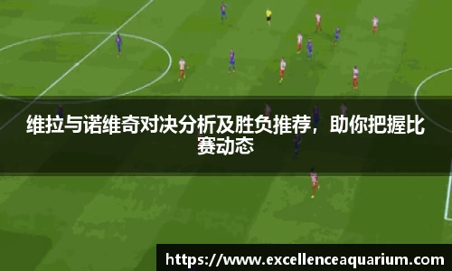 维拉与诺维奇对决分析及胜负推荐，助你把握比赛动态