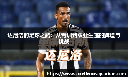 达尼洛的足球之路：从青训到职业生涯的辉煌与挑战