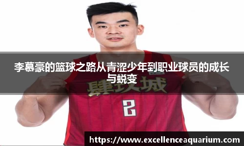 李慕豪的篮球之路从青涩少年到职业球员的成长与蜕变