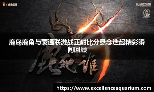 鹿岛鹿角与蒙通联激战正酣比分悬念迭起精彩瞬间回顾
