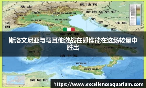 伟德体育国际