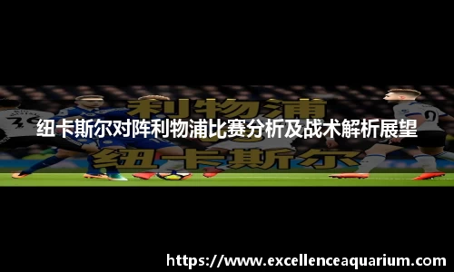 韦德体育官网