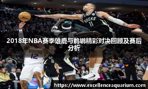 2018年NBA赛季雄鹿与鹈鹕精彩对决回顾及赛后分析