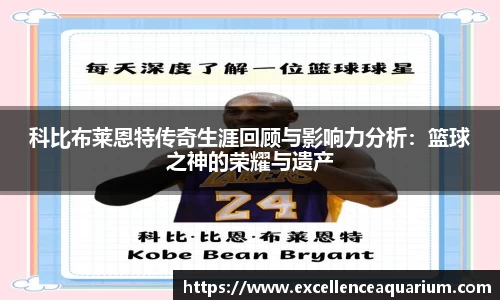 韦德体育官网