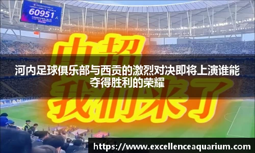 伟德体育