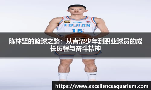 陈林坚的篮球之路：从青涩少年到职业球员的成长历程与奋斗精神