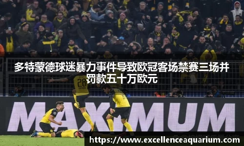 多特蒙德球迷暴力事件导致欧冠客场禁赛三场并罚款五十万欧元