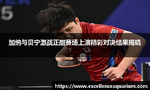 加纳与贝宁激战正酣赛场上演精彩对决结果揭晓