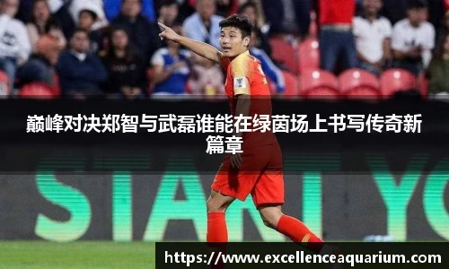 巅峰对决郑智与武磊谁能在绿茵场上书写传奇新篇章