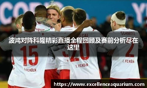 波鸿对阵科隆精彩直播全程回顾及赛前分析尽在这里