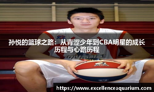 孙悦的篮球之路：从青涩少年到CBA明星的成长历程与心路历程