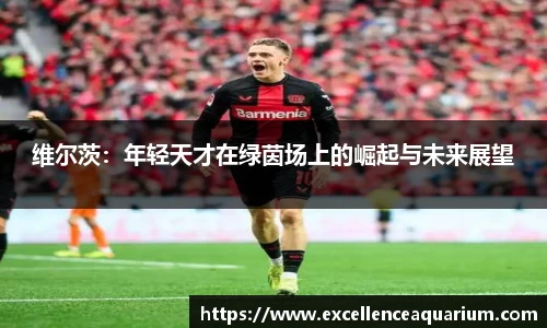 维尔茨：年轻天才在绿茵场上的崛起与未来展望
